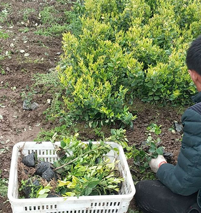 發(fā)貨現(xiàn)場(chǎng)